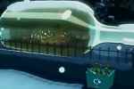 Recycle - Glass Bottles